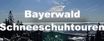 Bayerwald Schneeschuhtouren Stefan BERGER